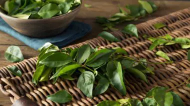 garnishing-instructions-image